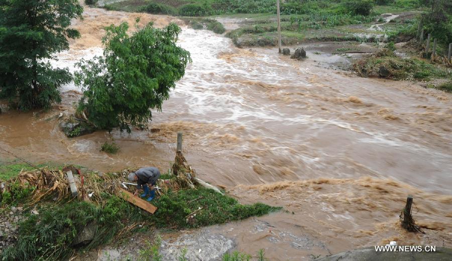 Victimes et pertes économiques liées aux pluies torrentielles dans le sud