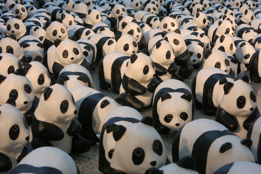 1600 pandas en papier commencent une tournée à Hong Kong
