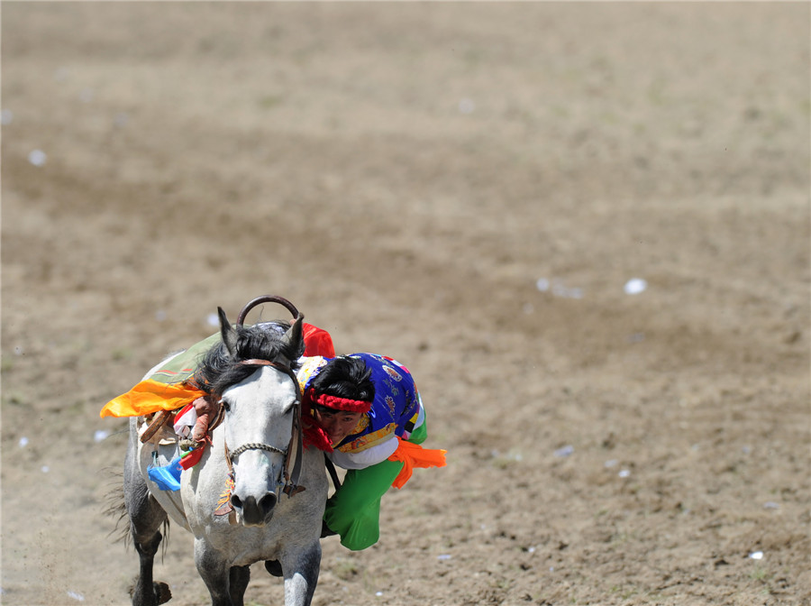 Haute voltige d’un jeune cavalier à l’occasion du traditionnel concours équestre.
