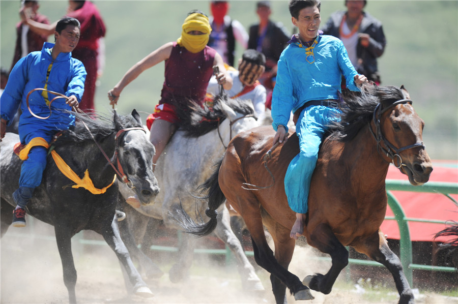 Des cavaliers à la lutte lors d’un concours équestre.