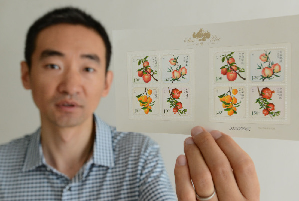Un employé de la Poste de Chine de Fuyang dans la province de l'Anhui, en Chine de l'Est, pose pour une photo avec les timbres parfumés aux fruits, le 14 juillet 2014. L'ensemble spécial de quatre timbres comporte l'image ainsi que le parfum de la pêche, de la pomme, de la grenade et du kumquat.