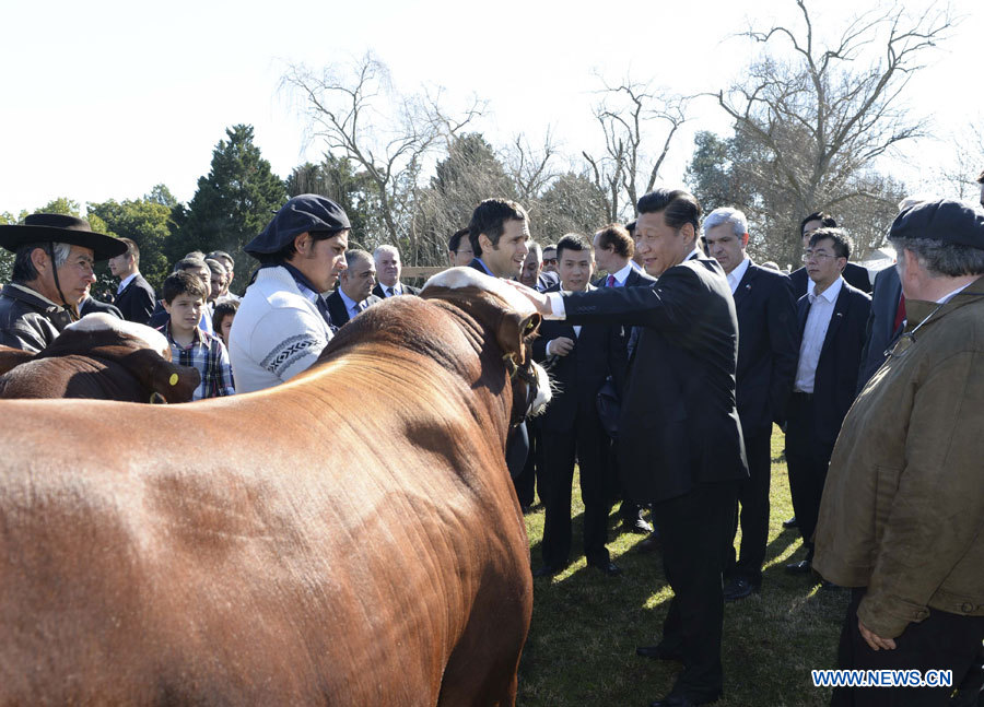  Le président chinois visite une ferme argentine et veut renforcer la coopération agricole