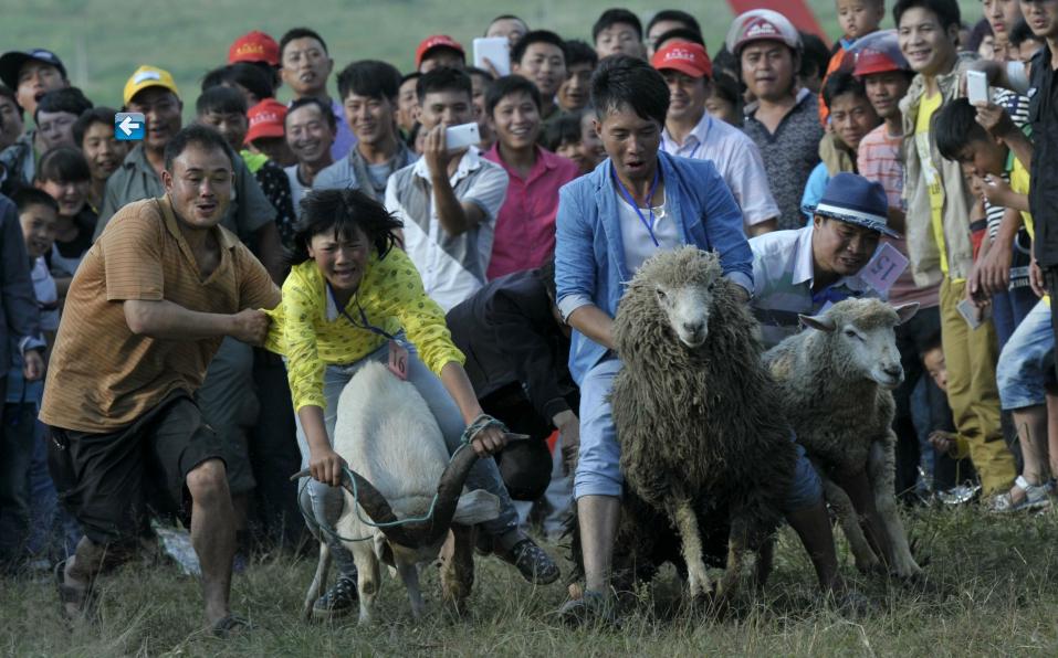 Les villageois du comté de Dafang dans la province de Guizhou prennent part à une course de moutons et de chèvres à l’occasion de la fête de la torche, un événement traditionnel organisé par les membres de l'ethnie Yi, le 26 juillet 2014. Avec au cours de cette période, des festivités présentant notamment certains aspects de la culture Yi, comme l'adoration du dieu du feu et les combats de lutte. [Photo : Qin Gang/Asianewsphoto]
