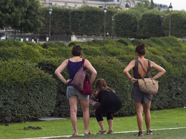 Des touristes photographient des rats qui se promènent sur les pelouses du Louvre.