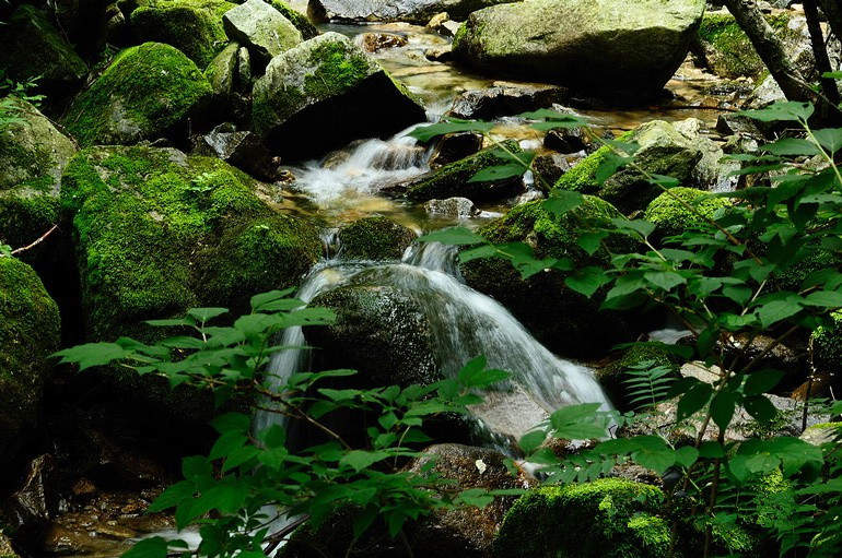 Les Monts Qingling souhaitent devenir une « terre sainte du tourisme écologique »