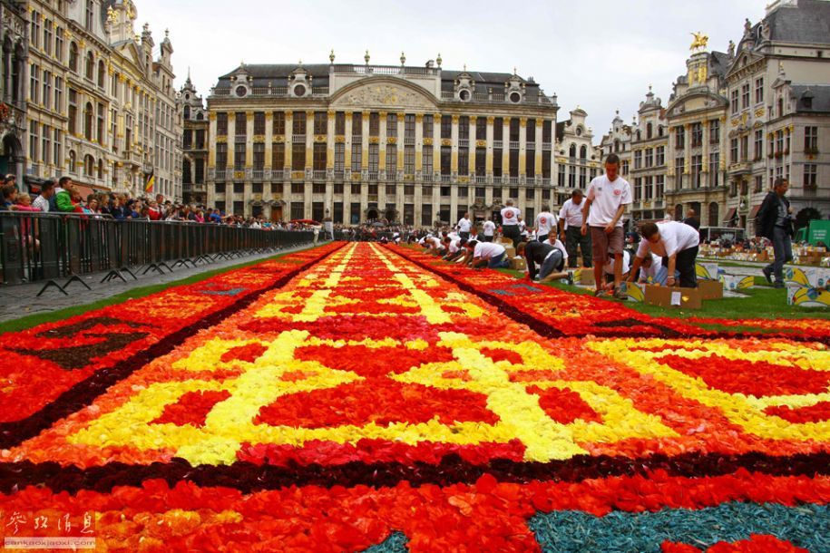 Le 19e tapis de fleurs de Bruxelles