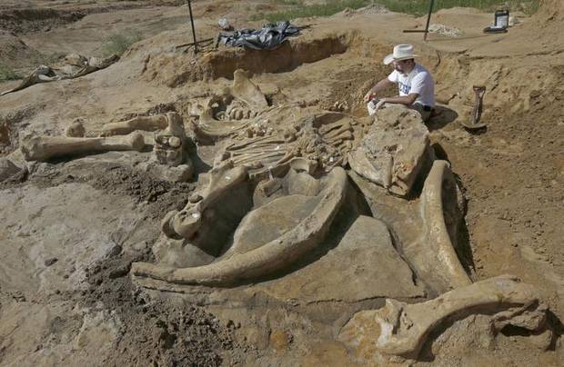 Une famille américaine découvre le squelette entier d'un mammouth