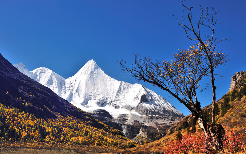Le paysage d'automne au mois d’octobre à Daocheng Yading, dans la province du Sichuan, dans le sud-ouest de la Chine.