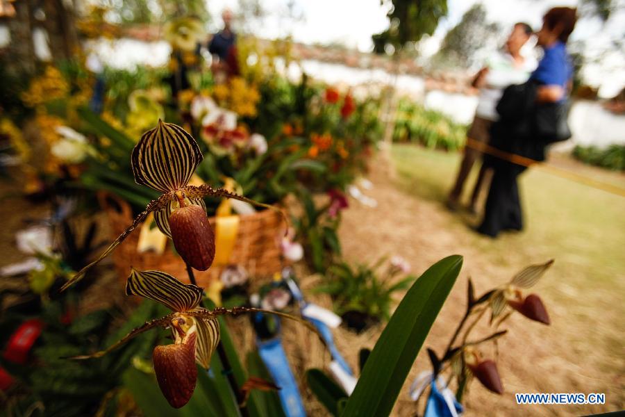 Exposition nationale d'orchidée à Bogota