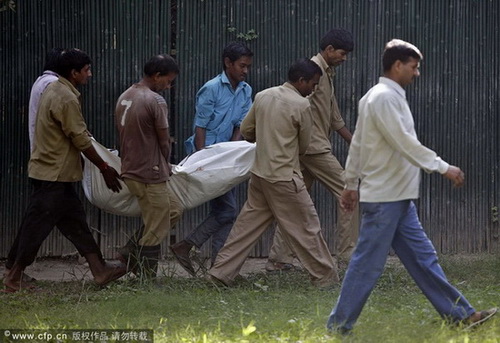 Un tigre blanc tue un visiteur au zoo de New Delhi