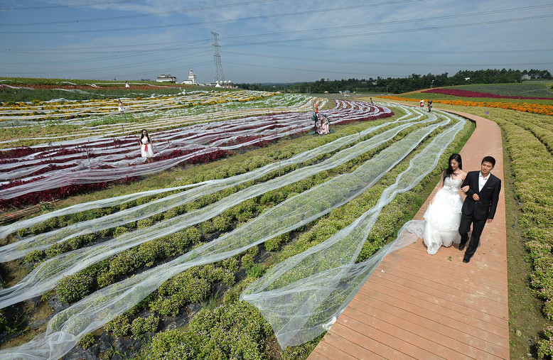 Des mannuquns portant la robe de mariage de 4 100 mètres de long dans la « vallée de Ziyixiangxun » à Chengdu, dans la province du Sichuan, le mercredi 24 septembre 2014.