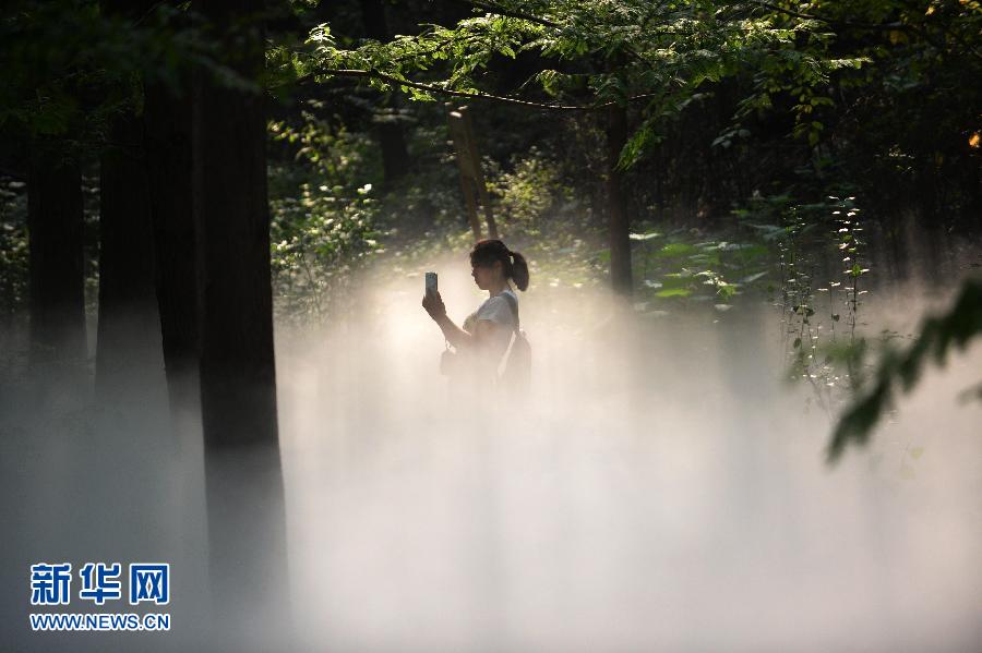 « Une forêt de brume » à Beijing