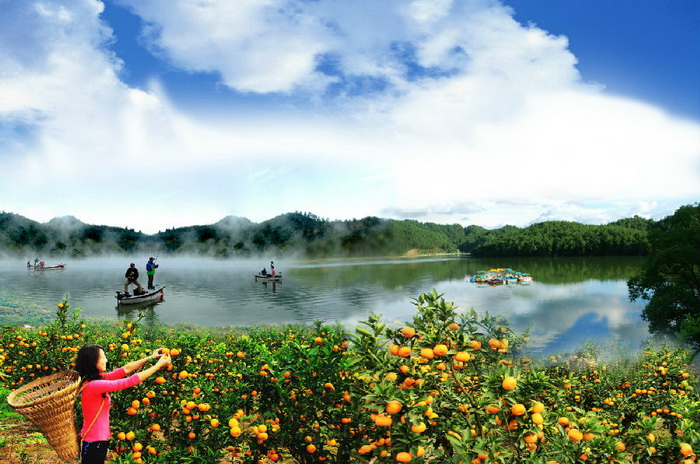 Chenggu, ville natale de Zhang Qian et paradis des agrumes, vous invite pour un automne magique