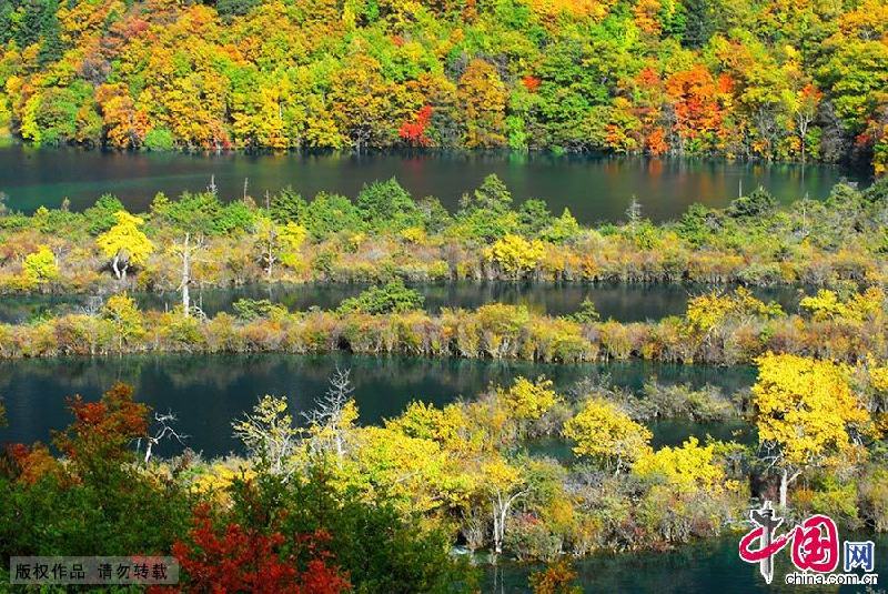 Sichuan : le monde fascinant de Jiuzhaigou 