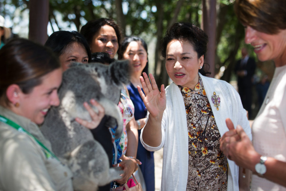 Le 15 novembre, Peng Liyuan, l’épouse du président chinois Xi Jinping a visité le Lone Pine Koala Sanctuary, le plus grand parc de koala au monde, à Brisbane (Australie).