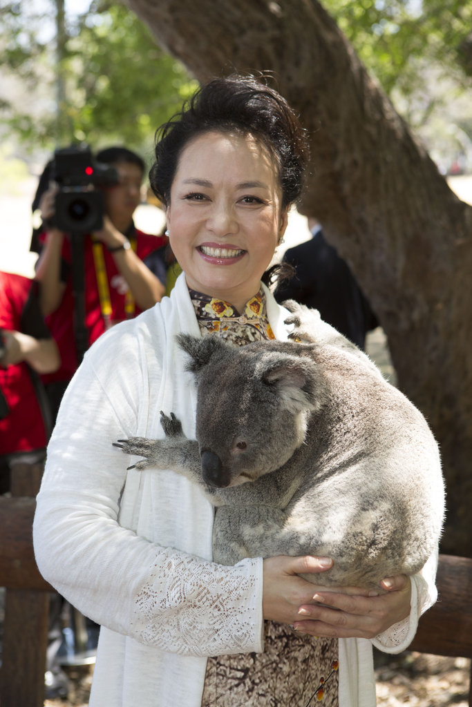 Image du jeudi 15 novembre à Brisbane, à l’occasion du sommet du G20 où les femmes des dirigeants ont visité le Lone Pine Koala Sanctuary, le plus grand parc de koala au monde. La Première dame chinoise a pendant cette visite pris un koala dans ses bras.