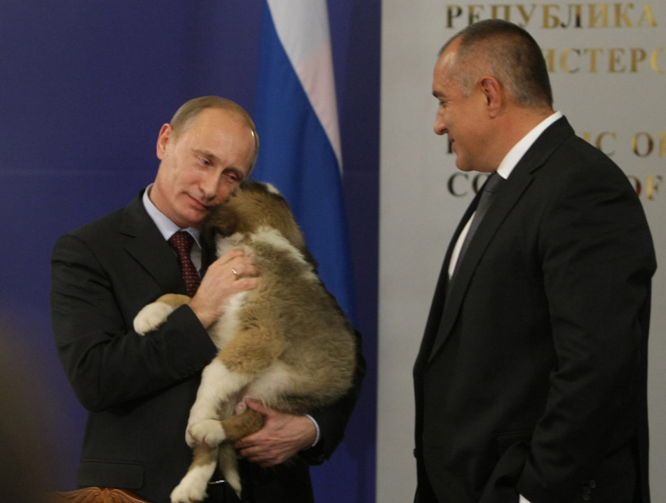Le Premier ministre russe Vladimir Poutine prend dans ses bras un chien berger offert en cadeau par le Premier ministre bulgare Boïko Borissov lors de sa visite en Bulgarie (cliché pris le 13 novembre 2010 à Sofia).