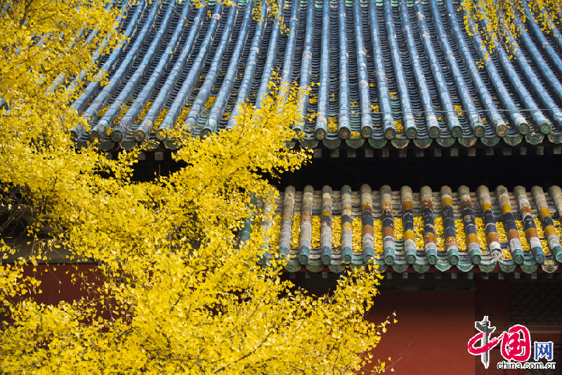 La beauté du temple de Dajue en automne