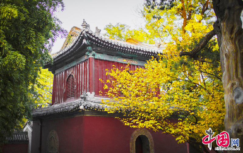 La beauté du temple de Dajue en automne