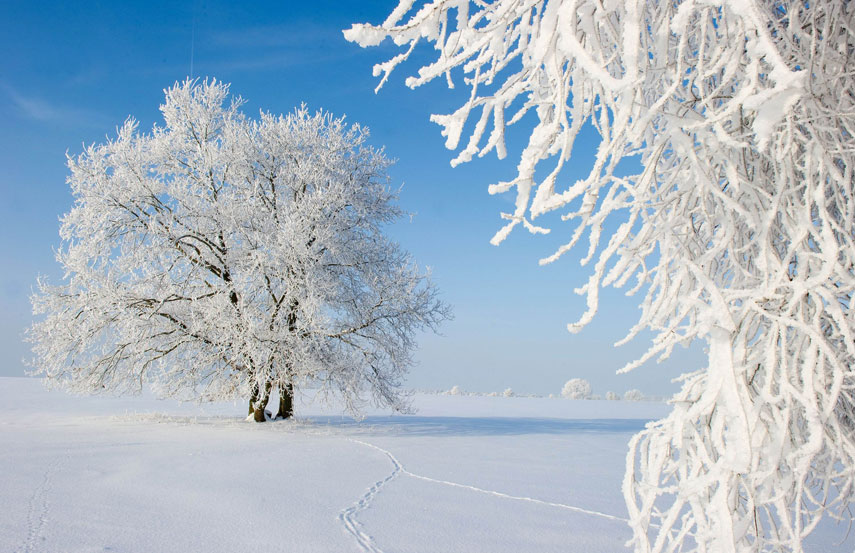 Paysages de neige magnifiques dans le monde 
