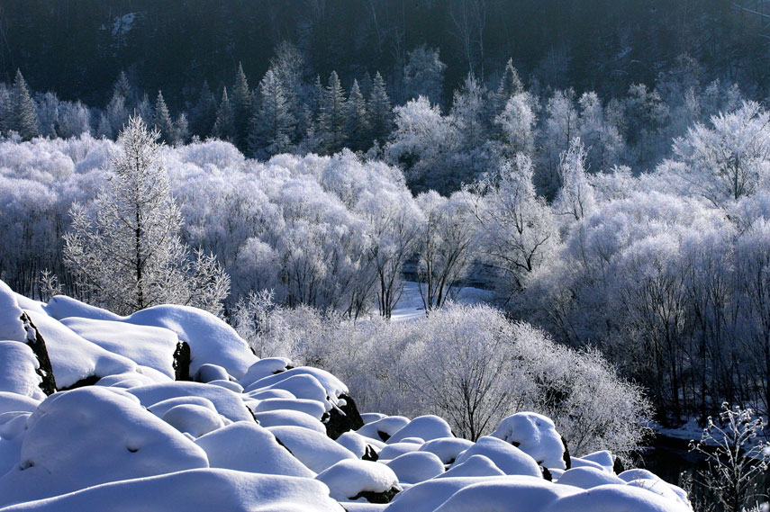 Paysages de neige magnifiques dans le monde 