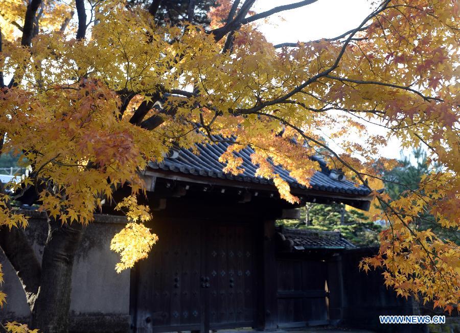 Paysage d'automne au palais Impérial à Tokyo