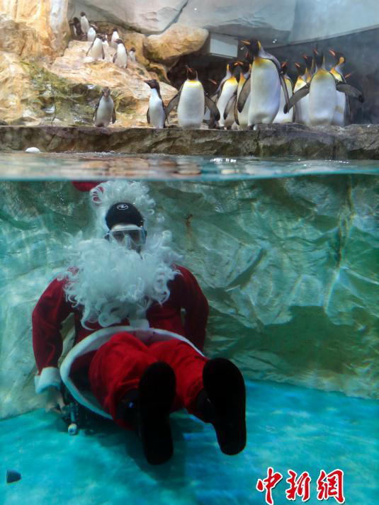 Un Père Noël et la Marche de l’empereur