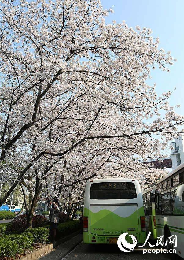 Shanghai : la plus belle station de bus en fleurs