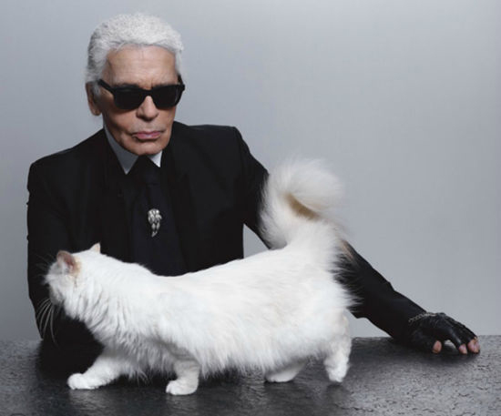 Choupette, la chatte de Karl Lagerfeld, est devenue millionnaire