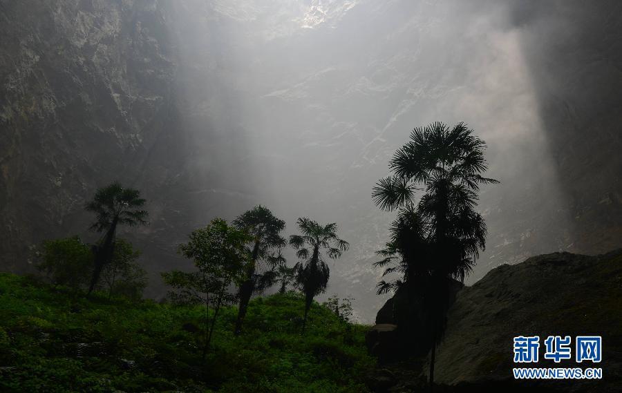 Hubei : un monde souterrain fascinant d'animaux et de plantes