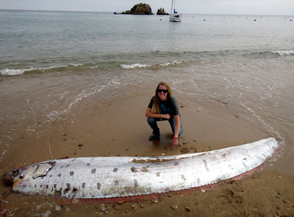 Amy Catalano, la coordinatrice des opérations de préservation de Conservation de Catalina, pose près d'un régulec mort échoué sur la plage de l'île de Catalina, en Californie, image publiée par Reuters le 4 Juin 2015. [Photo /Agences]
