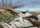 Voici pourquoi on n'a jamais trouvé de gros dinosaures dans les régions tropicales