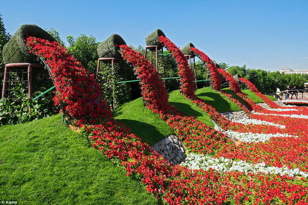 Dubaï et la plus grande exposition de fleurs 