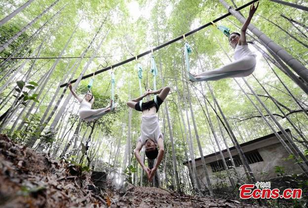 Des yogistes montrent la force et la beauté de leur art dans une forêt de bambous 