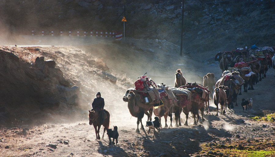 Xinjiang : les pasteurs nomades et la transition des saisons