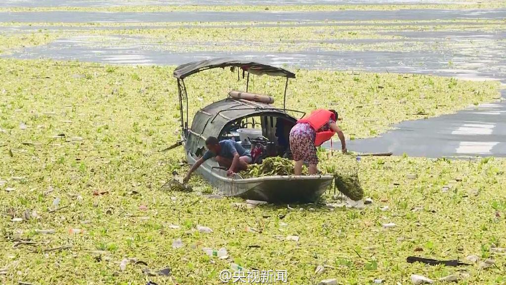 Le fleuve Yangtsé encombré par près de 10 000 mètres carrés de déchets flottants à Chongqing