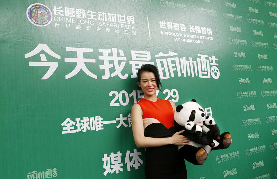 Myolie Wu, actrice hongkongaise et ambassadrice de bonne volonté du Chimelong Safari Park pose avec une peluche en forme de pandas de jouets à l’occasion du premier anniversaire des pandas triplés dans le parc de la ville de Guangzhou, dans la province méridionale du Guangdong, le 29 juillet 2015. [Photo / IC]