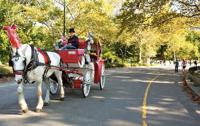 Une calèche au Parc Central de New York, le 17 octobre 2014.