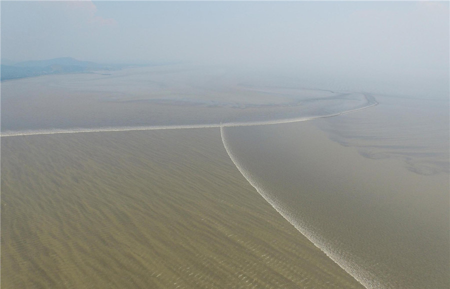 Les Marées de la rivière Qiantang viennent de l'est et du sud, en formant le caractère chinois «ren». Image prise le 2 août 2015. [Photo/CFP]