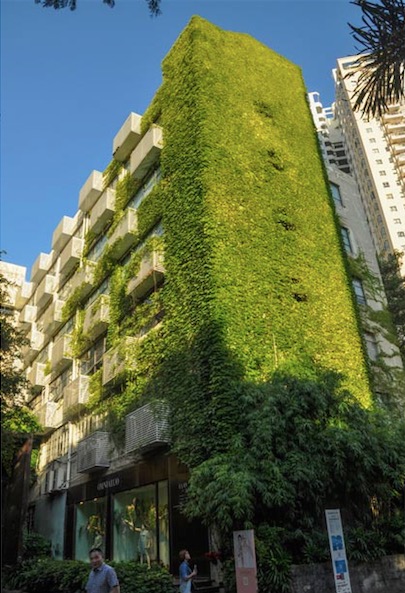 Un bâtiment recouvert de verdure du parc industriel de Shenzhen.