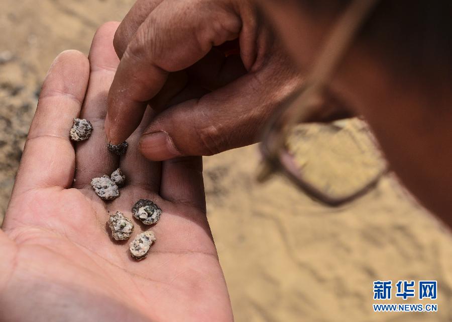 Xinjiang : découverte des premiers sites de charbon en Chine 