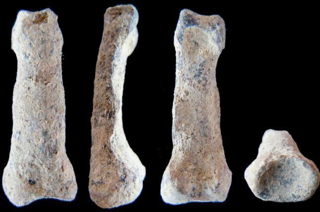 Découverte d’un os de la plus vieille main humaine connue à ce jour en Tanzanie