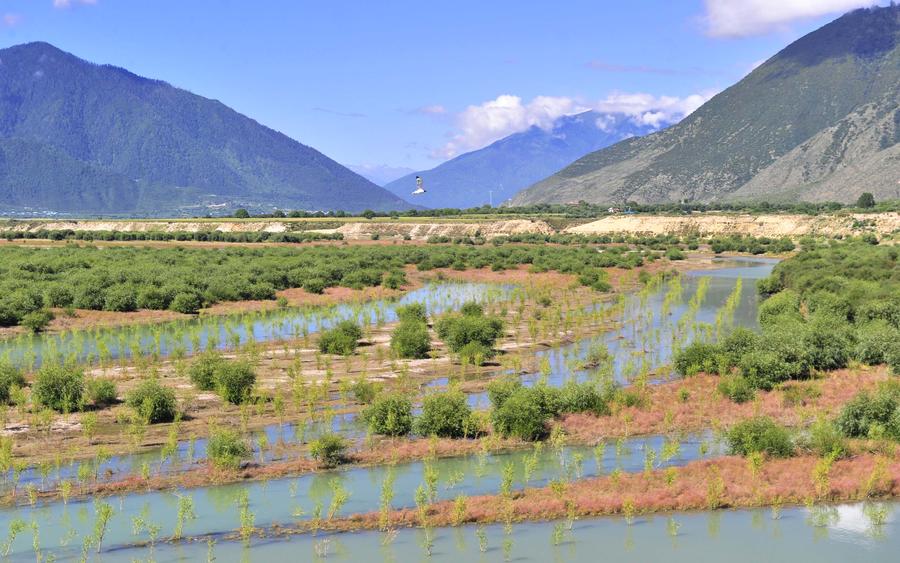 La beauté originelle du Tibet, bien préservée grâce à la stratégie de « développement vert »