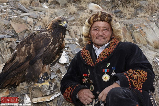Mongolie: les 70 derniers dresseurs de faucons 