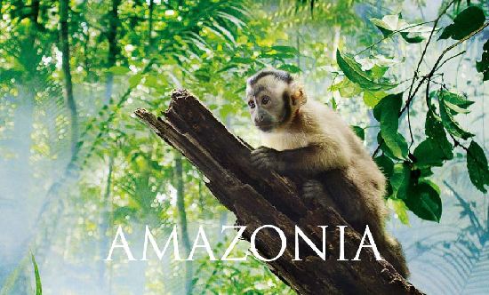 Présentation du film franco-brésilien Amazonia en Chine