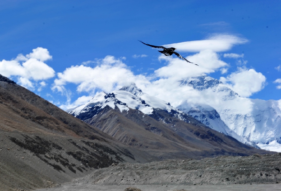 Paysage du mont Qomolangma au Tibet