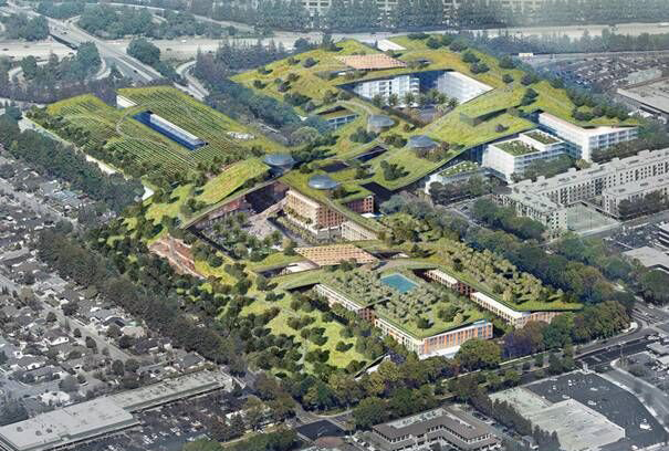 Le plus grand toit vert du monde va être construit dans la Silicon Valley