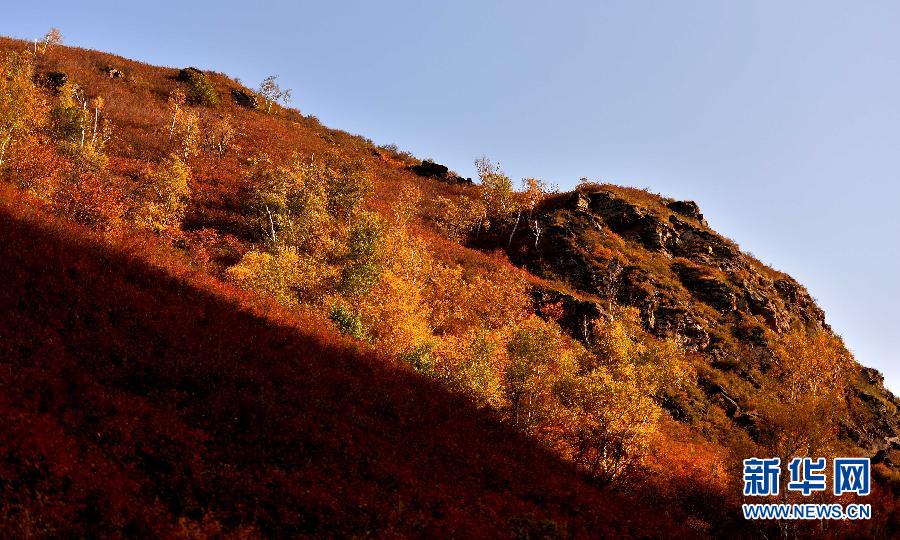 Automne : la réserve naturelle du mont Daqing sous toutes ses couleurs