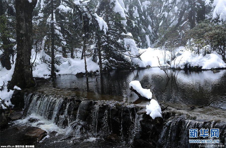 Sichuan : premier manteau de neige sur le mont Luoji