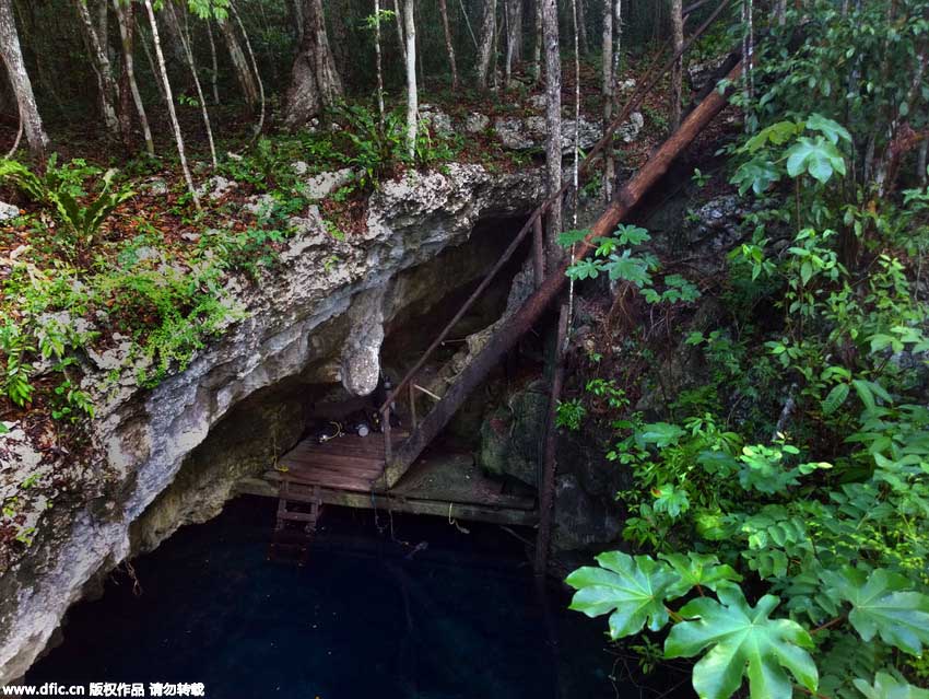 D'incroyables images d'un gouffre maya prises par un plongeur dans la jungle mexicaine